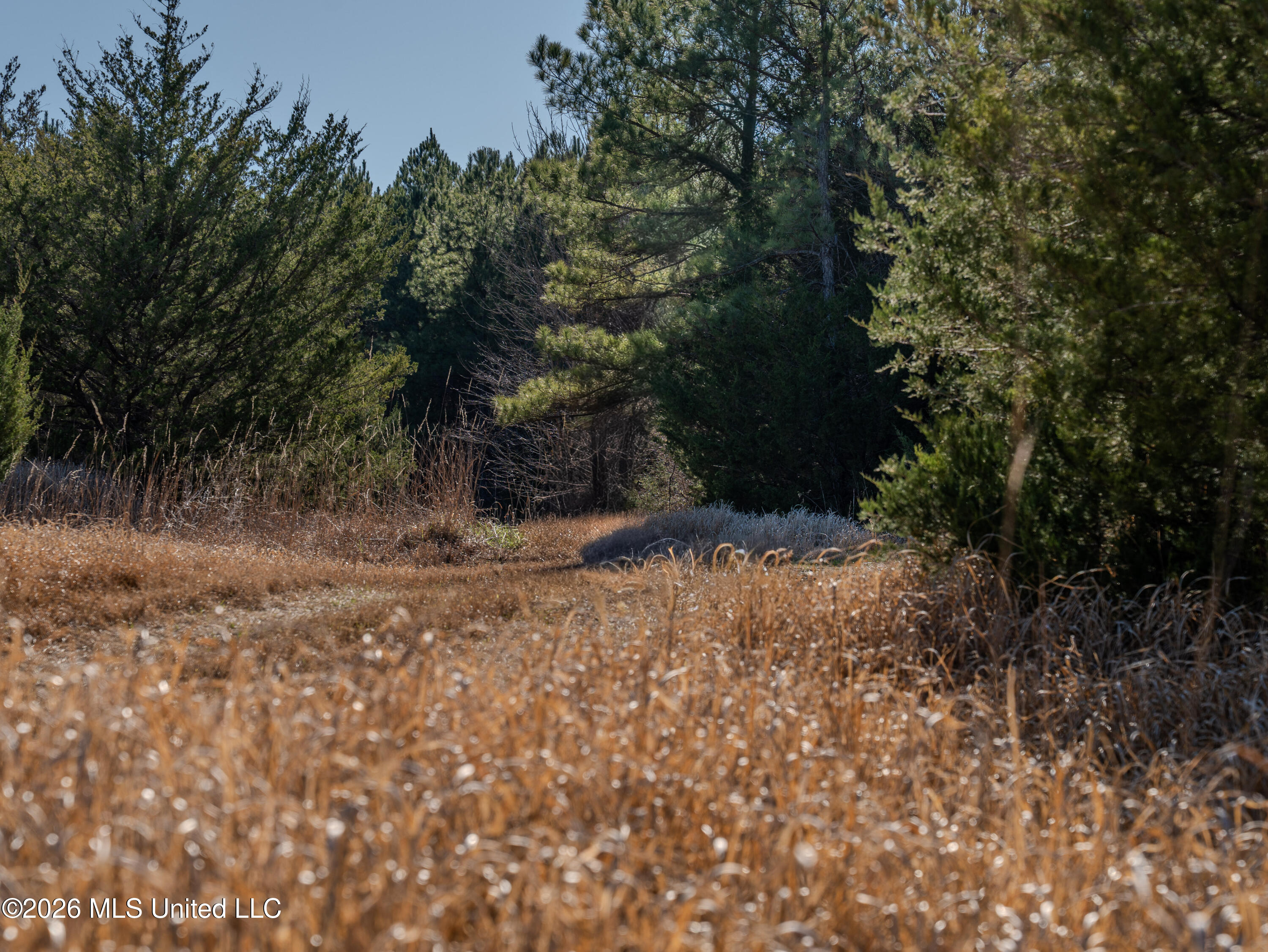 2414 County Road Newton, MS 39345 - Photo 32 of 40 A7401853