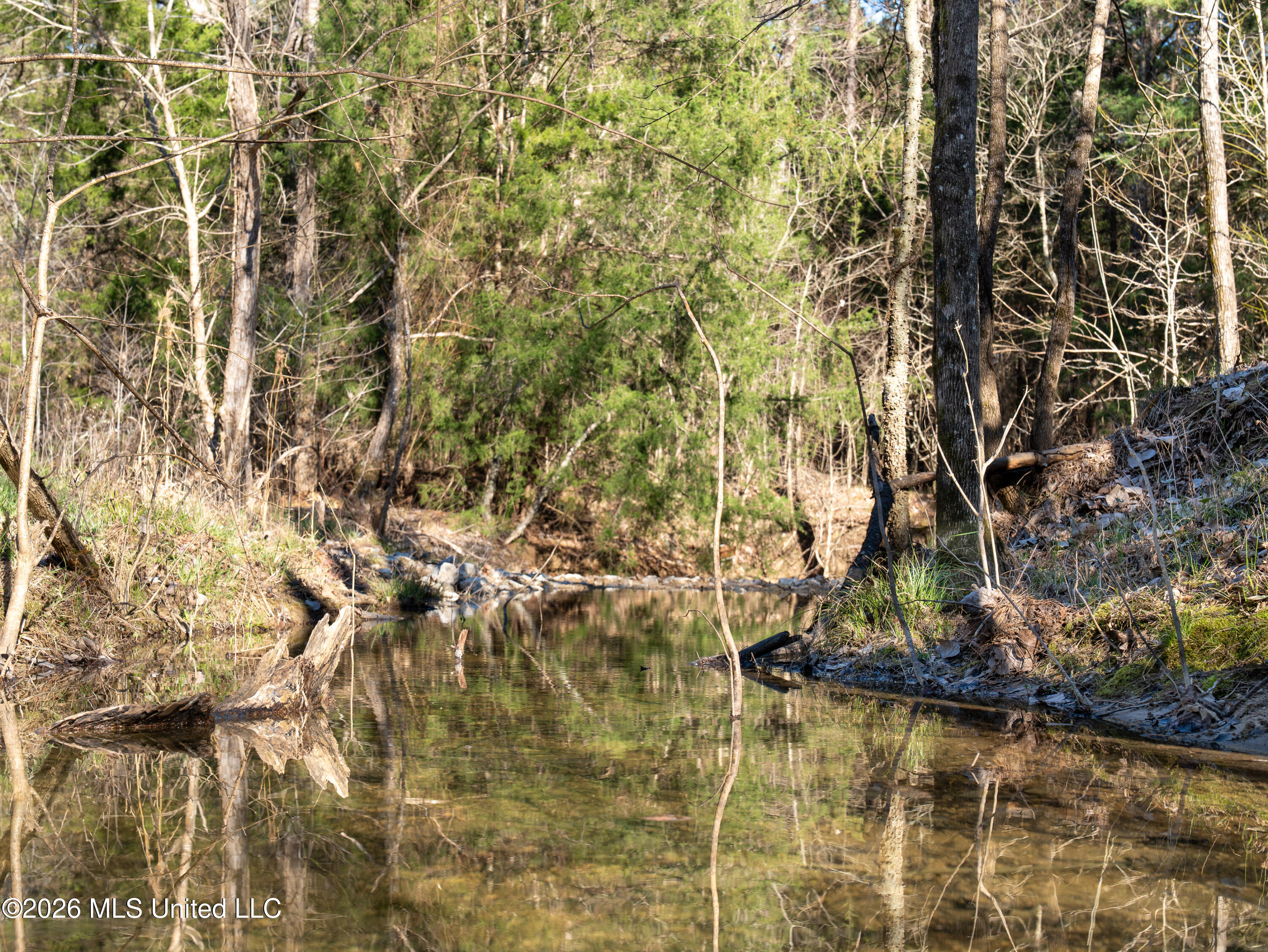 2414 County Road Newton, MS 39345 - Photo 33 of 40 A7401869