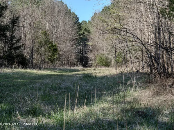 $369,900 | 2414 County Road, Newton, MS 39345