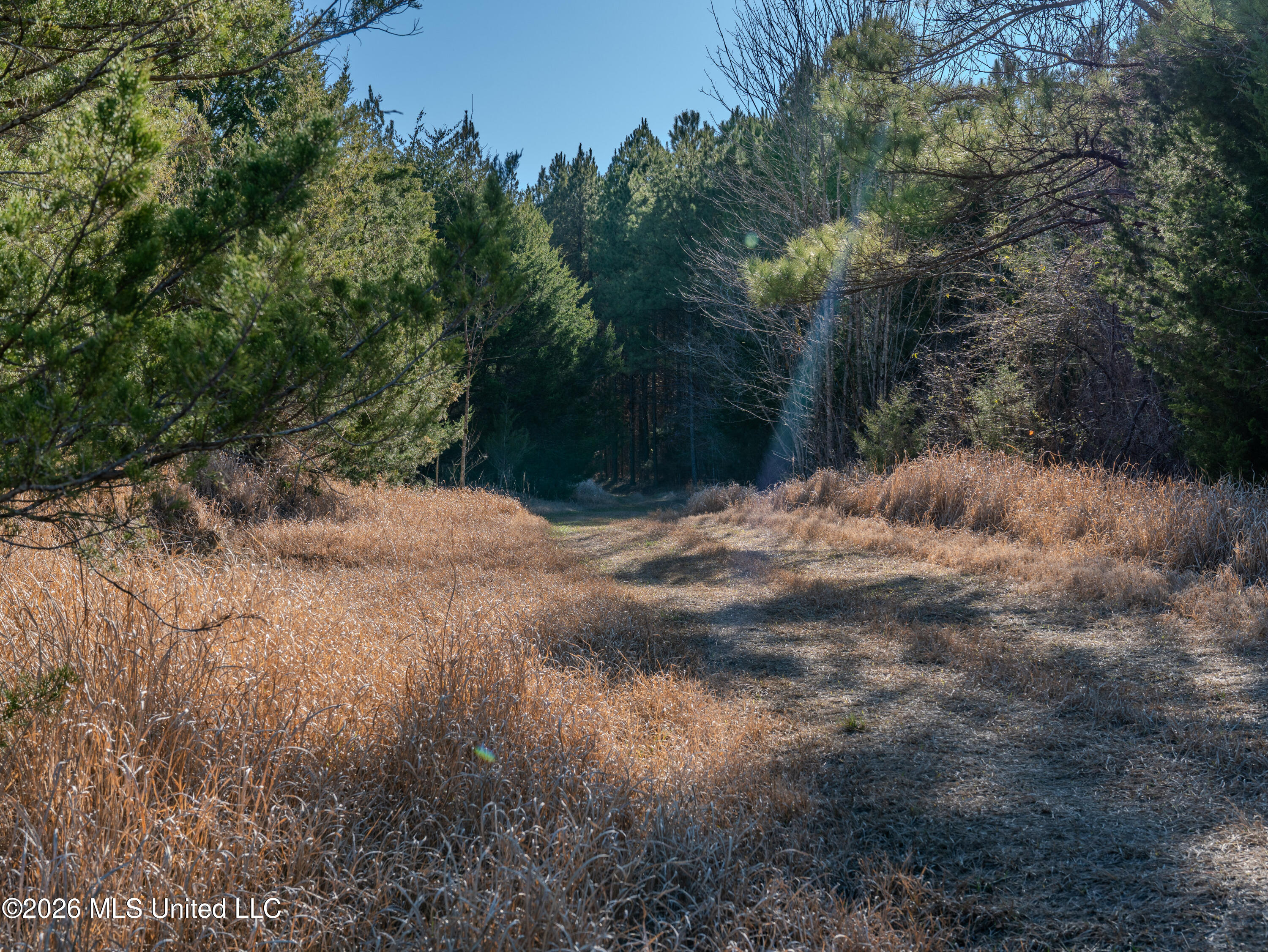 2414 County Road Newton, MS 39345 - Photo 35 of 40 A7401876