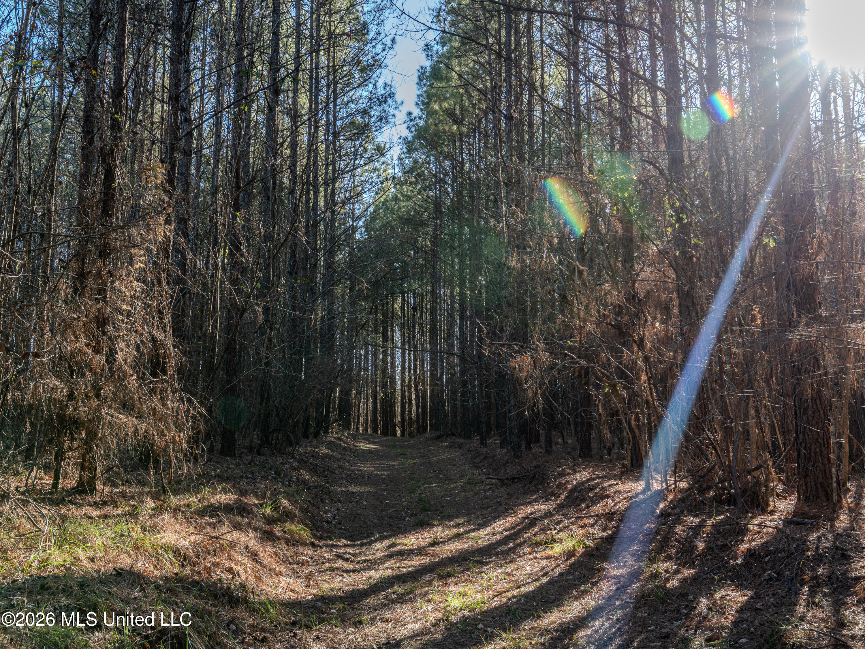 2414 County Road Newton, MS 39345 - Photo 36 of 40 A7401877