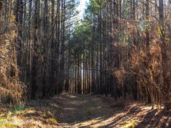 $369,900 | 2414 County Road, Newton, MS 39345