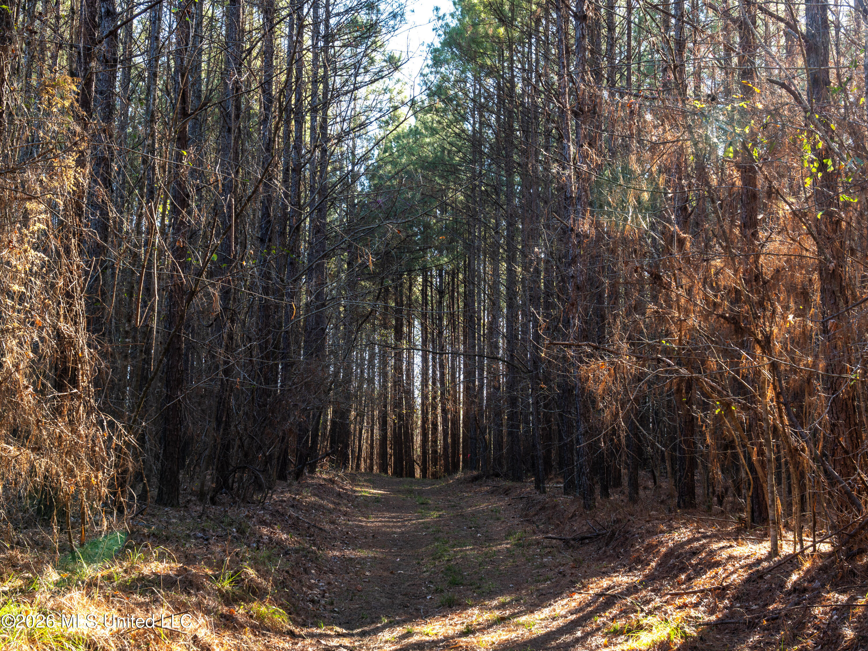 2414 County Road Newton, MS 39345 - Photo 37 of 40 A7401878