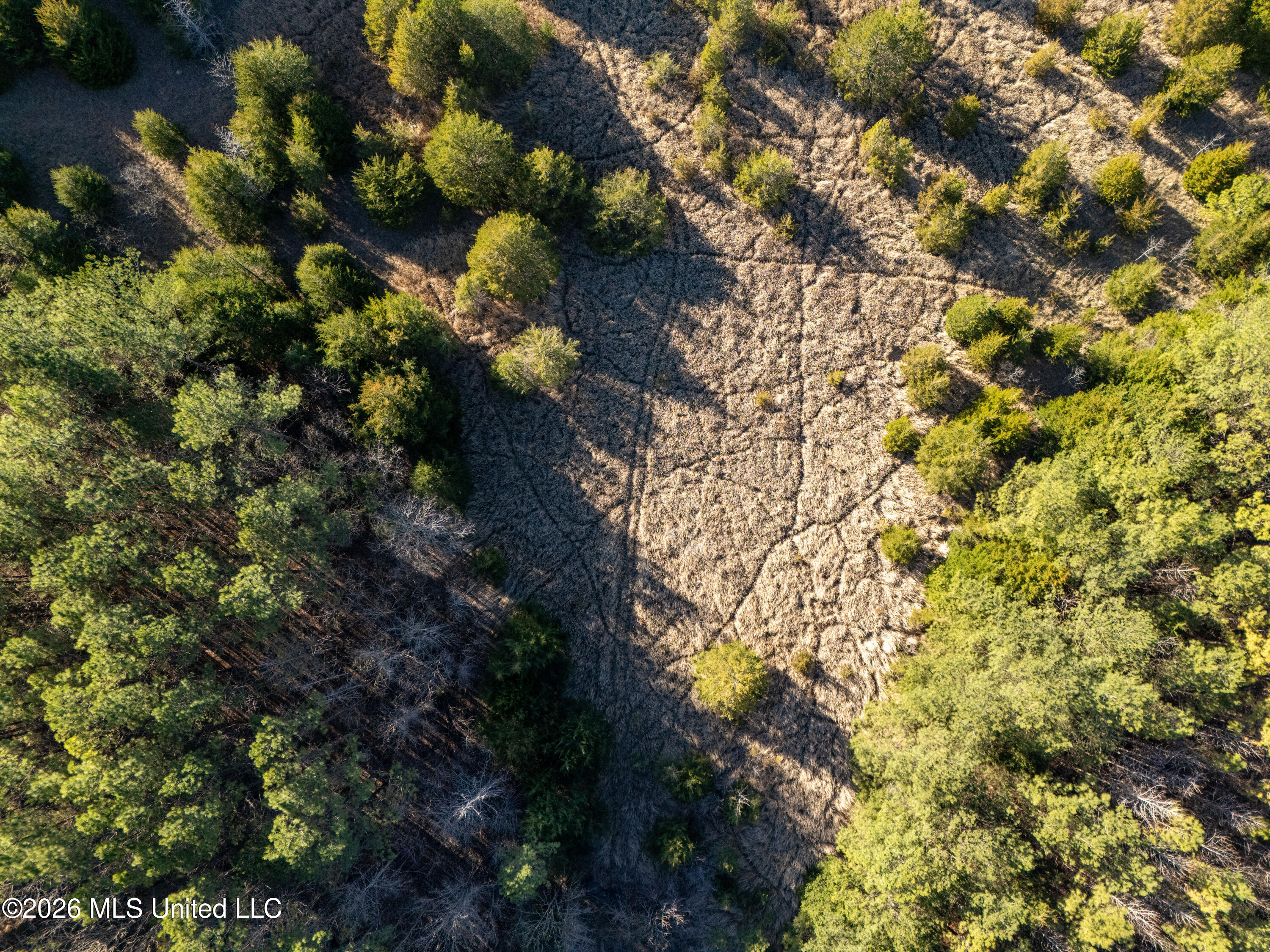 2414 County Road Newton, MS 39345 - Photo 4 of 40 DJI_20260223160237_0013_D