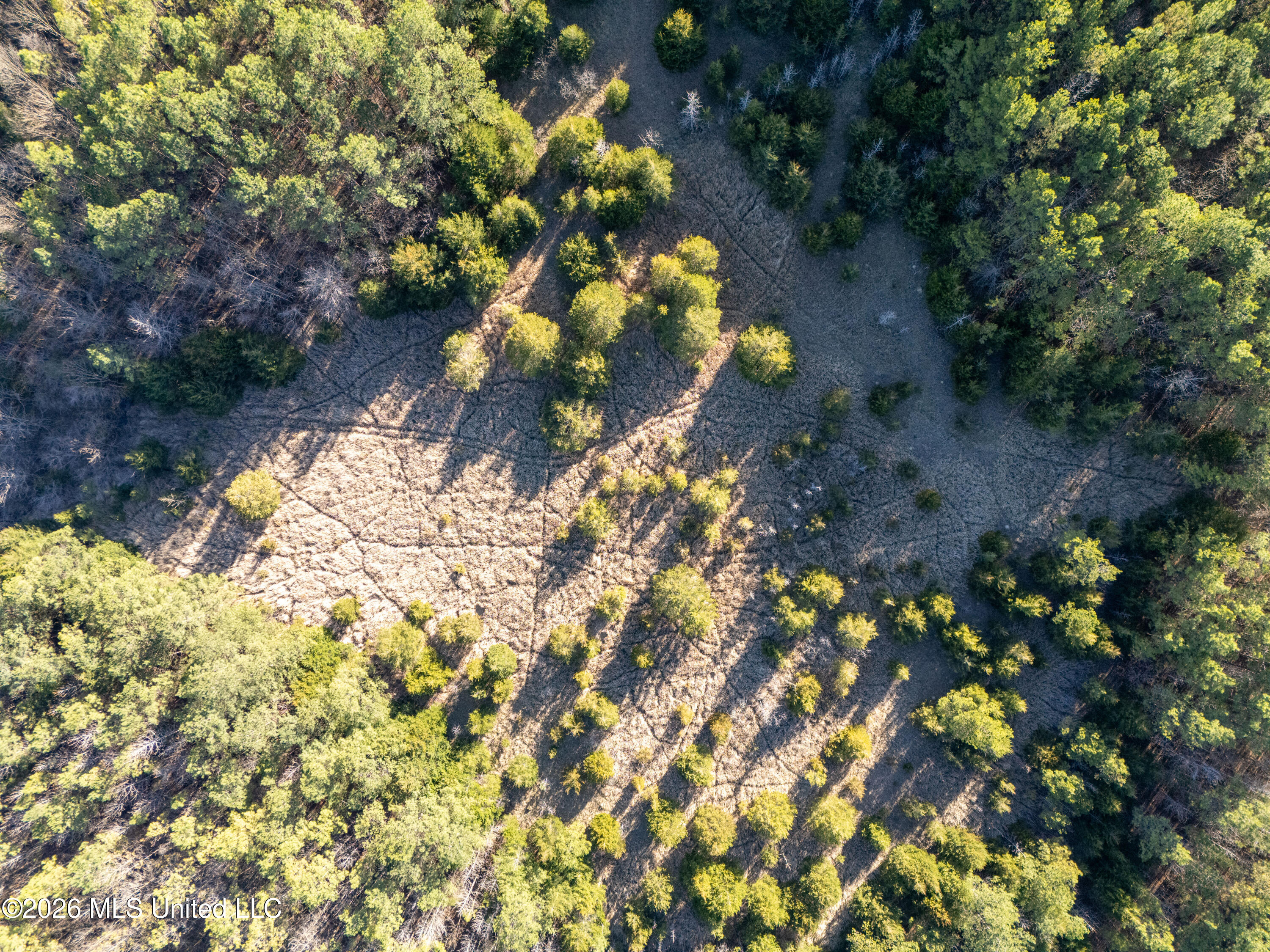 2414 County Road Newton, MS 39345 - Photo 5 of 40 DJI_20260223160310_0018_D