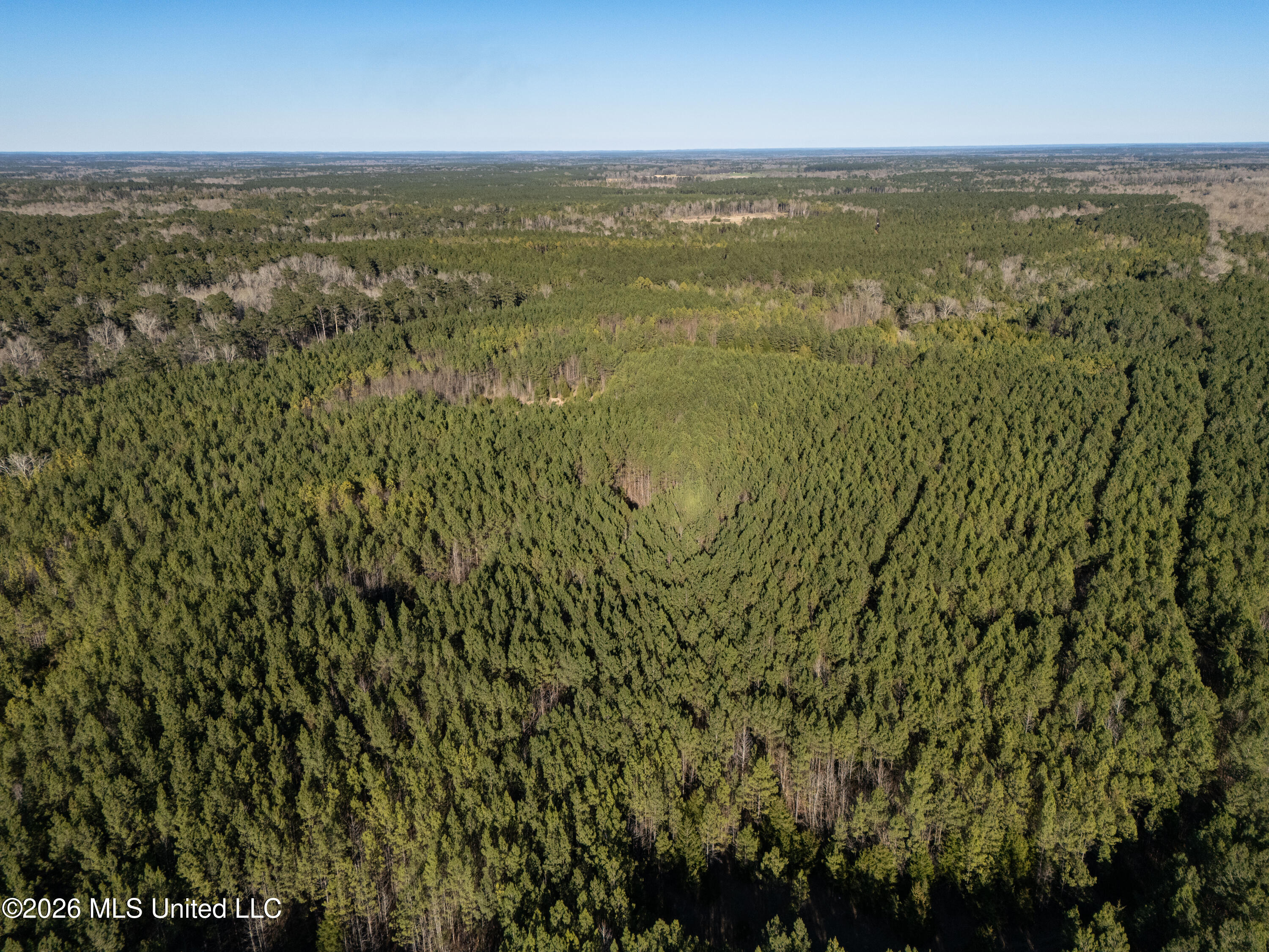 2414 County Road Newton, MS 39345 - Photo 6 of 40 DJI_20260223160544_0022_D
