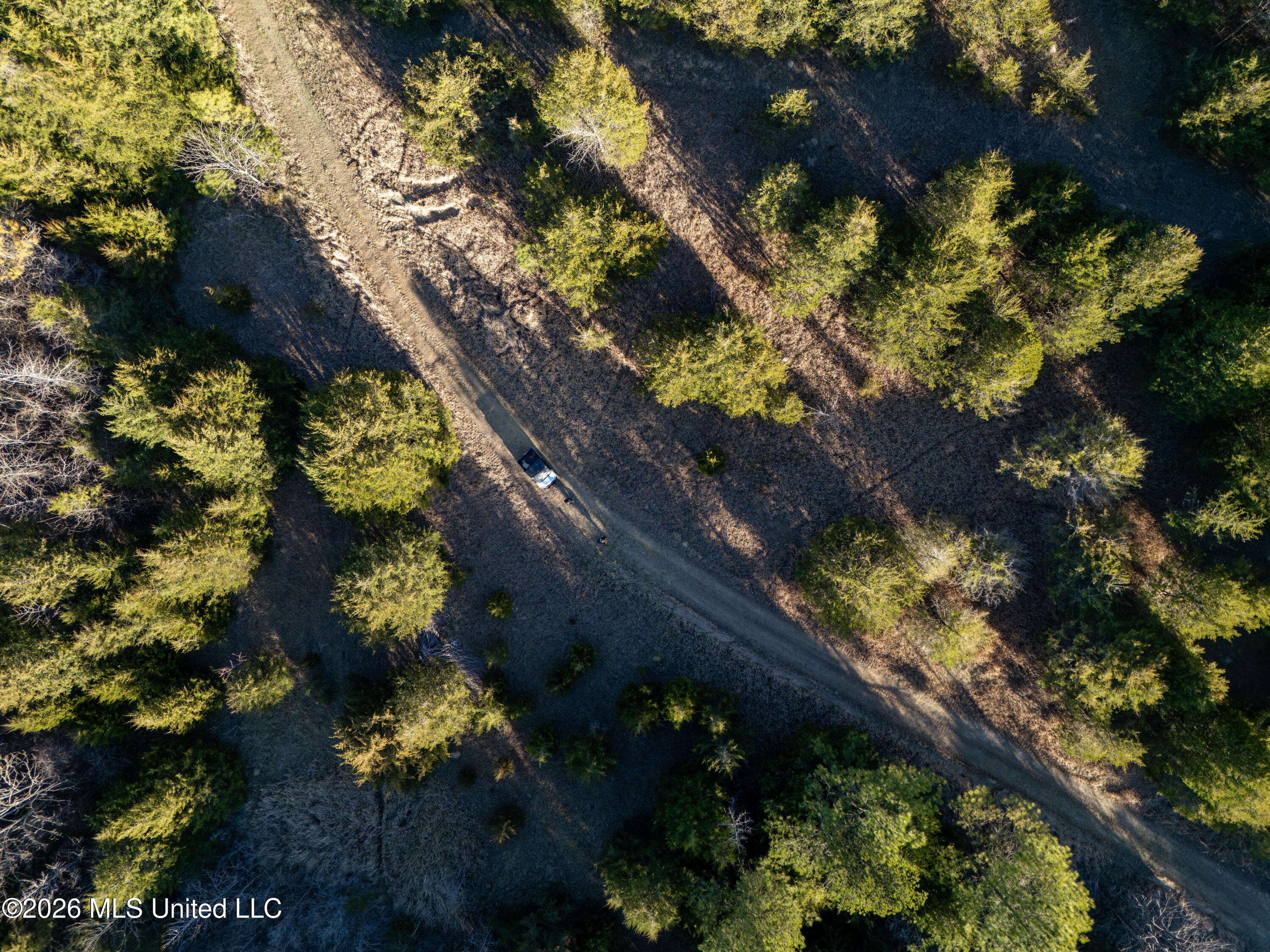 2414 County Road Newton, MS 39345 - Photo 10 of 40 DJI_20260223161653_0038_D