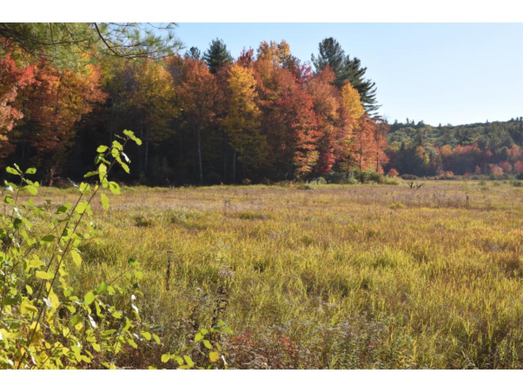 444 Clinton Road Antrim, NH 03440 - Photo 32 of 32