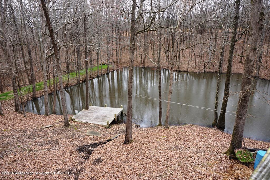 1948 King Road Sardis, MS 38666 - Photo 37 of 46 DSC02435