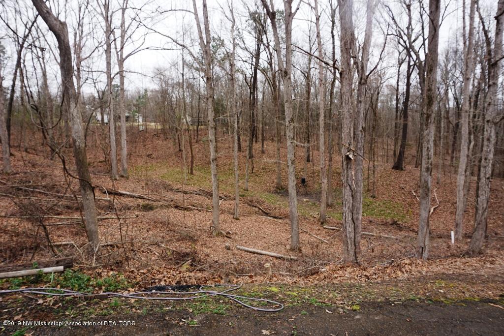 1948 King Road Sardis, MS 38666 - Photo 41 of 46 DSC02442