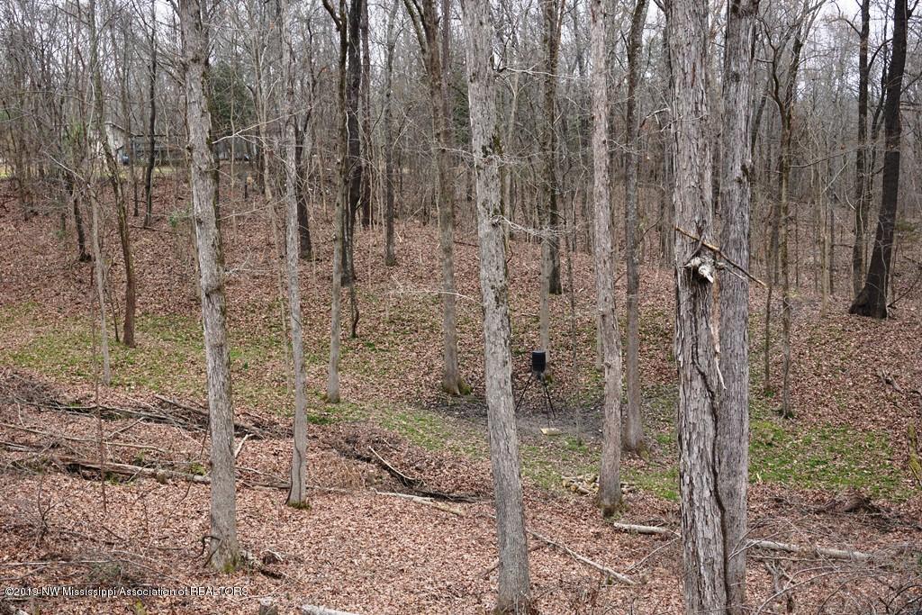 1948 King Road Sardis, MS 38666 - Photo 42 of 46 DSC02443