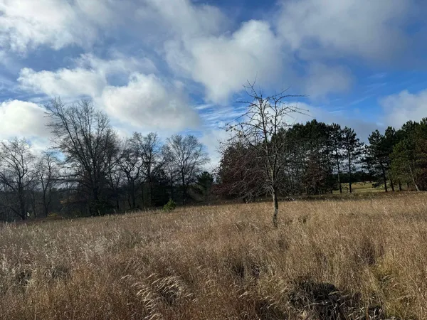 $139,900 | 524 South Cherry Street, Evart, MI 49631