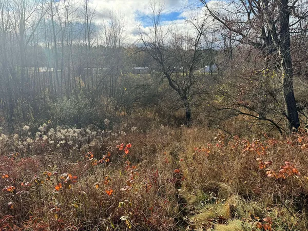 $139,900 | 524 South Cherry Street, Evart, MI 49631