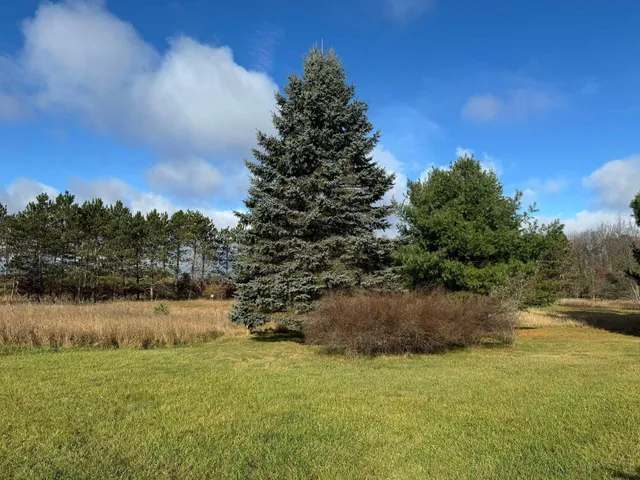 $139,900 | 524 South Cherry Street, Evart, MI 49631