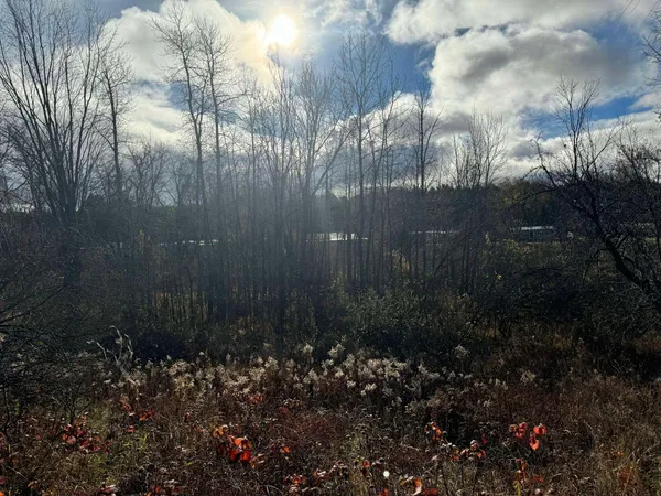 $139,900 | 524 South Cherry Street, Evart, MI 49631