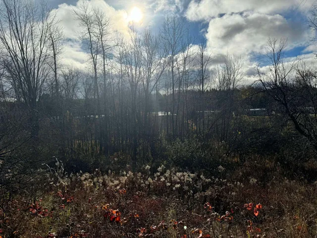 $139,900 | 524 South Cherry Street, Evart, MI 49631