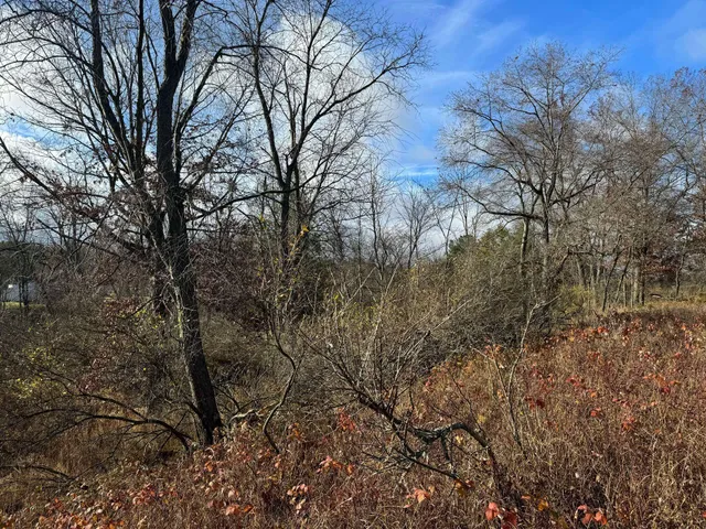 $139,900 | 524 South Cherry Street, Evart, MI 49631