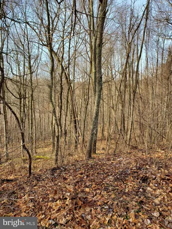$1,430,000 | Off Of Frazee Ridge Rd Off Of Frazee Ridge Road, Friendsville, MD 21531