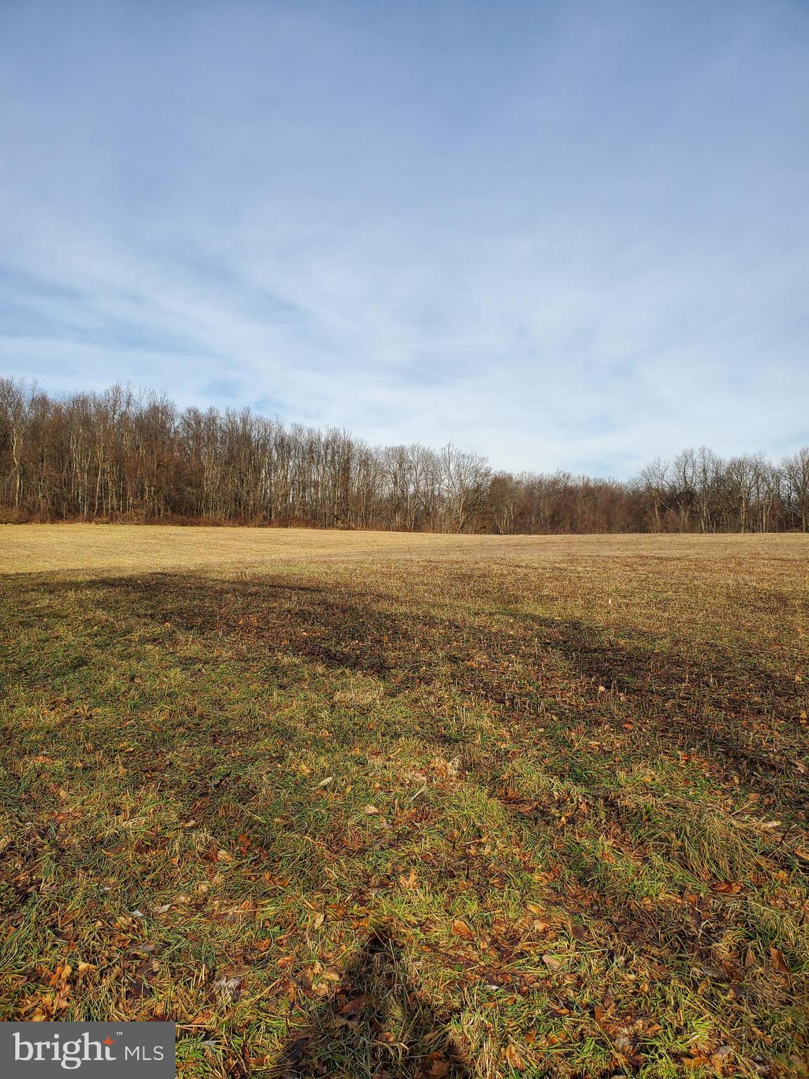 Off Of Frazee Ridge Rd Off Of Frazee Ridge Road Friendsville, MD 21531 - Photo 2 of 3