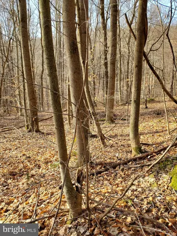 $1,430,000 | Off Of Frazee Ridge Rd Off Of Frazee Ridge Road, Friendsville, MD 21531