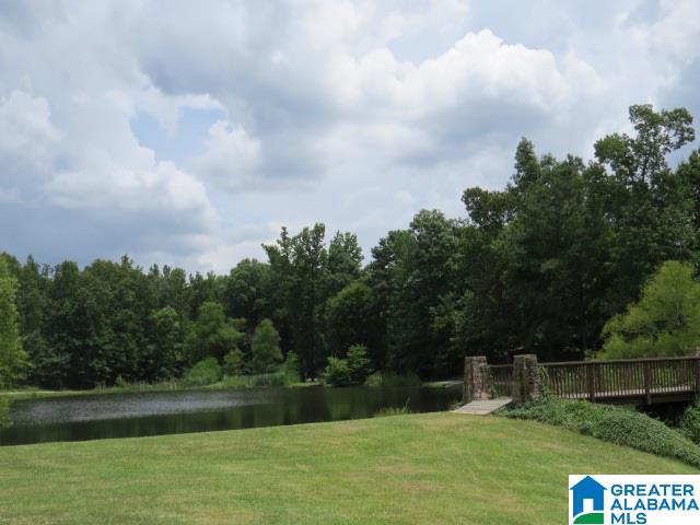 2725 Aspen Lake Road Helena, AL 35022 - Photo 40 of 42