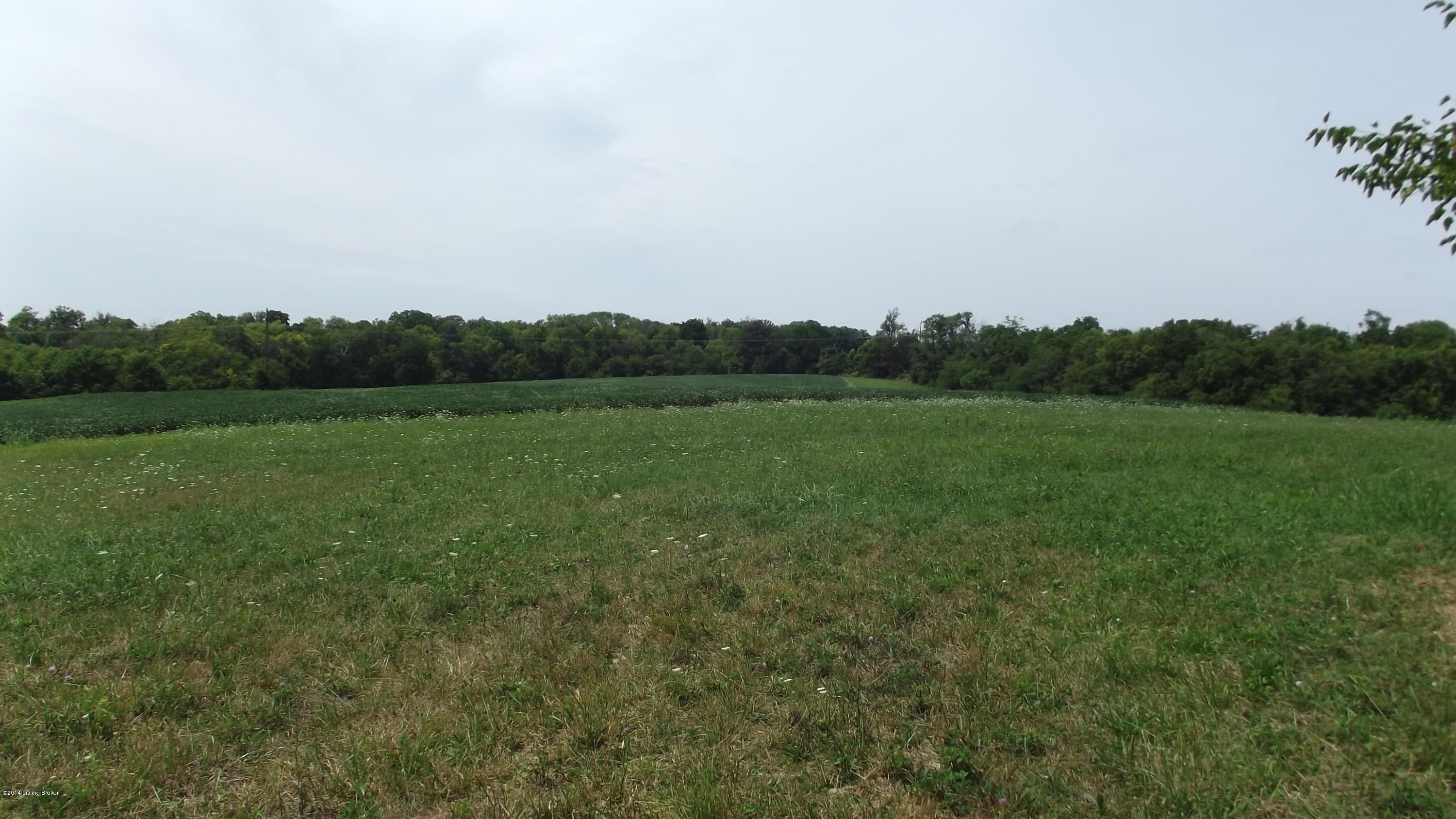 671 Sulphur Road New Castle, KY 40050 - Photo 12 of 33 DSCF4617