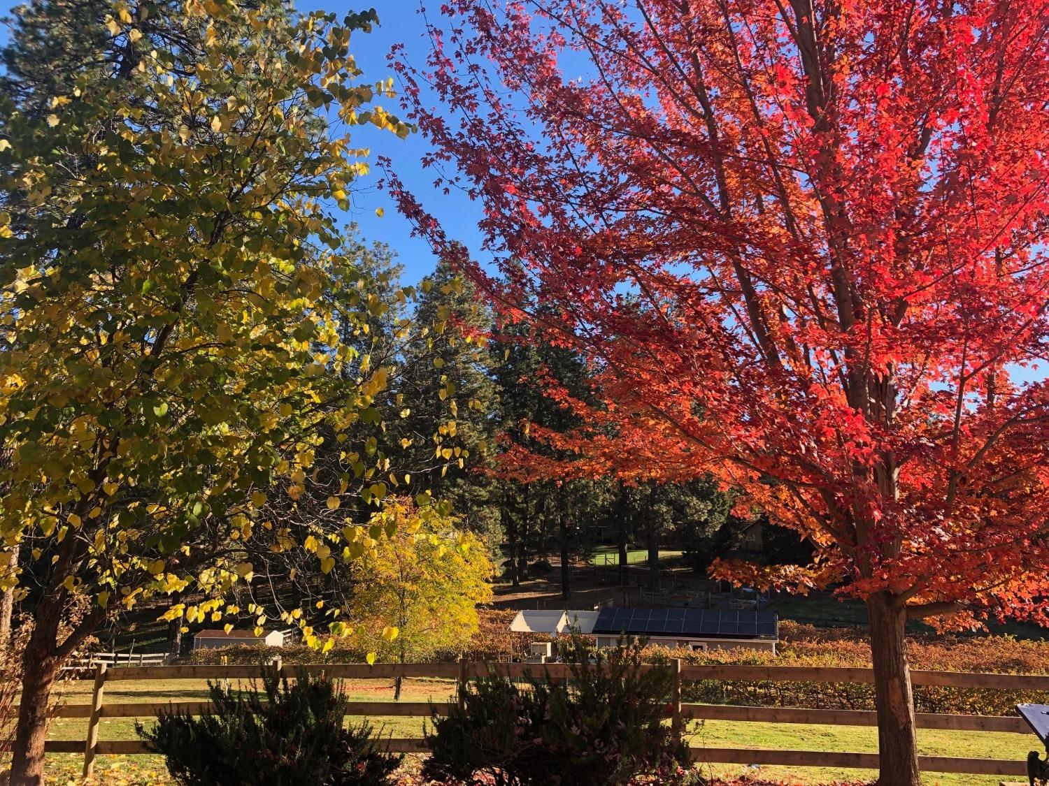 10550 Round Valley Road Grass Valley, CA 95949 - Photo 1 of 1