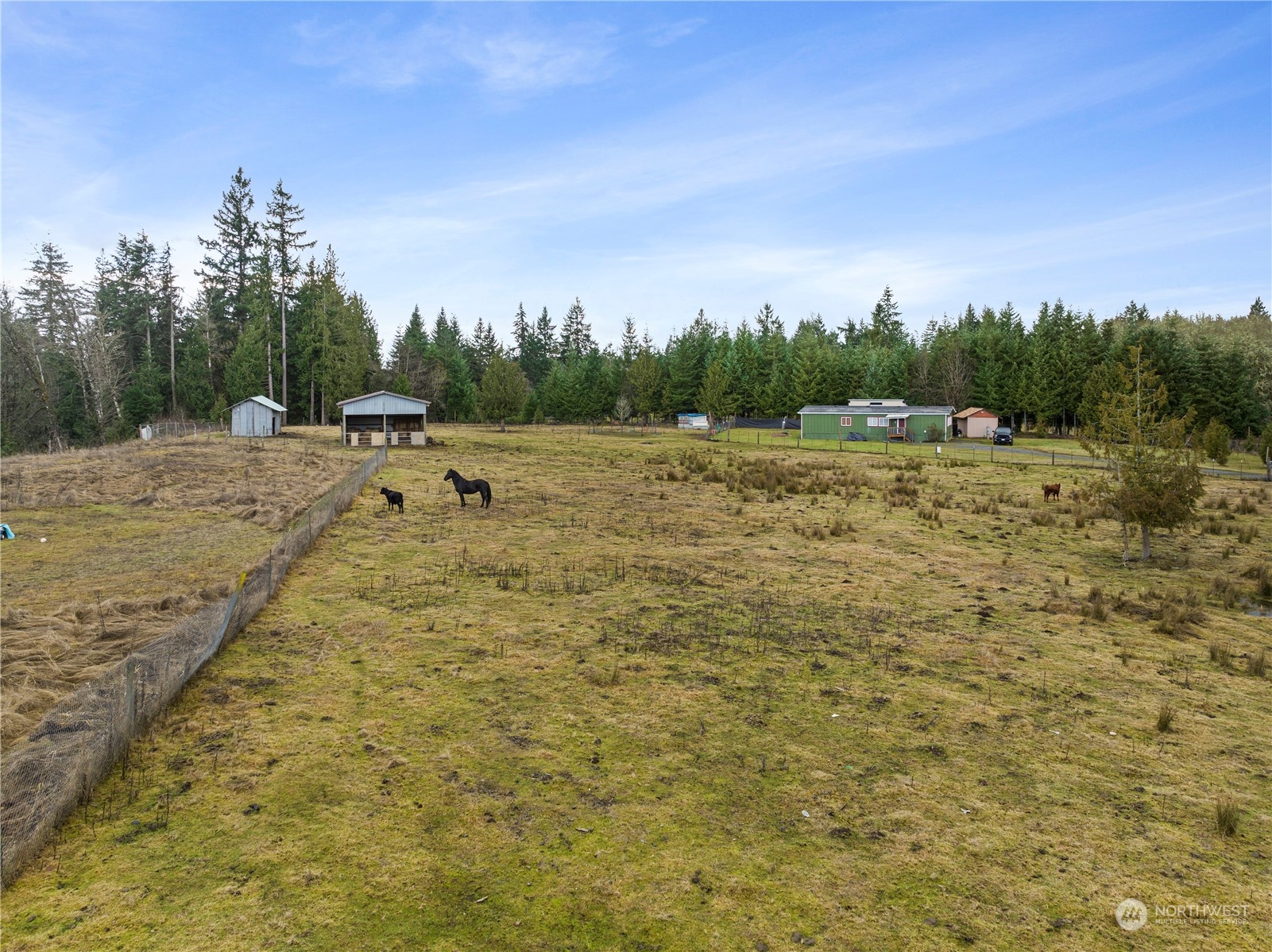 267 Limmer Road Winlock, WA 98596 - Photo 25 of 25 a view of a yard with an outdoor space