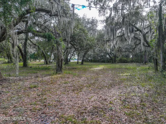 a view of a park with large trees