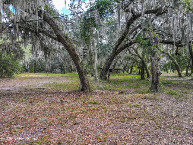 a view of outdoor space with trees