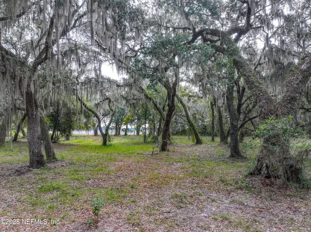 a view of a field with lots of trees