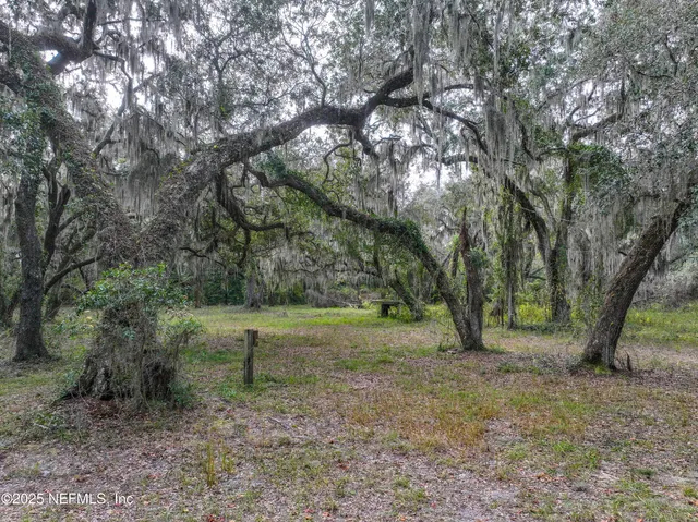 a view of outdoor space with trees