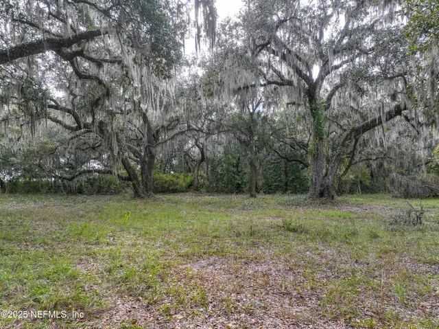 a view of outdoor space with trees