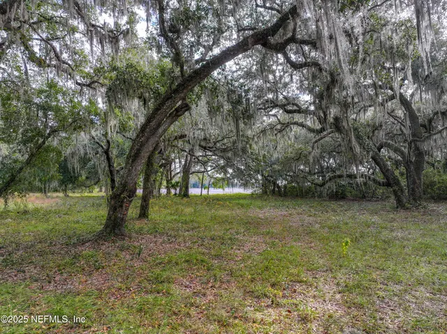 a view of outdoor space and yard