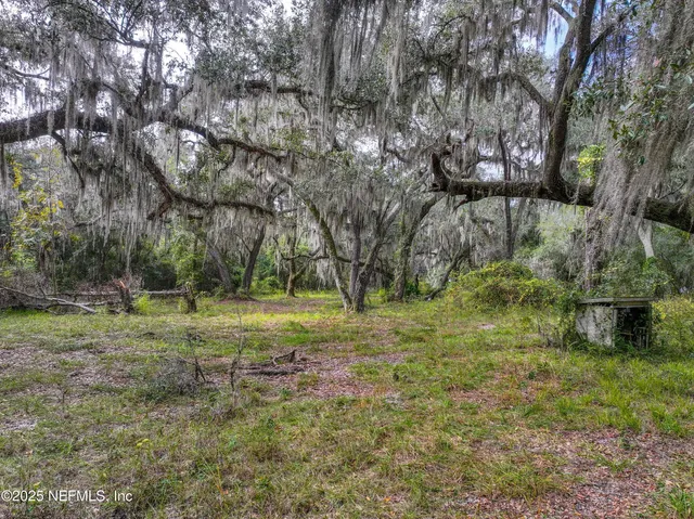 a view of backyard with green space