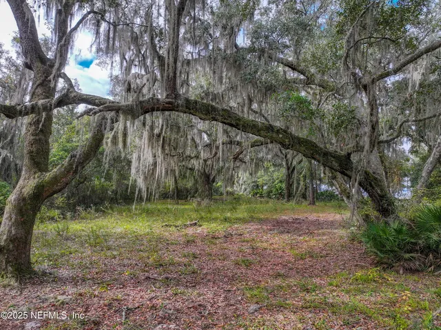 a view of backyard with green space
