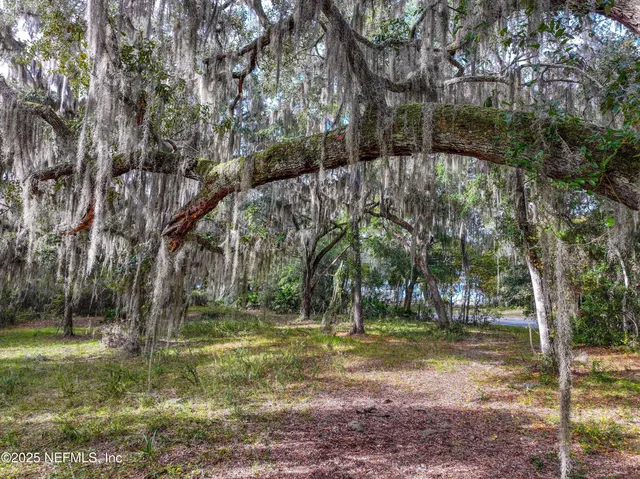 a view of backyard with green space