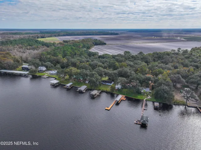 a view of a backyard with plants and large trees