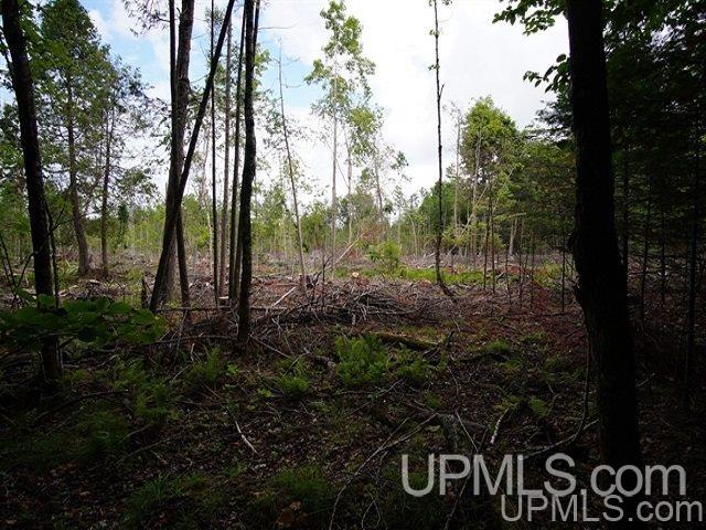40-acres Co Rd 467 Germfask, MI 49836 - Photo 19 of 22