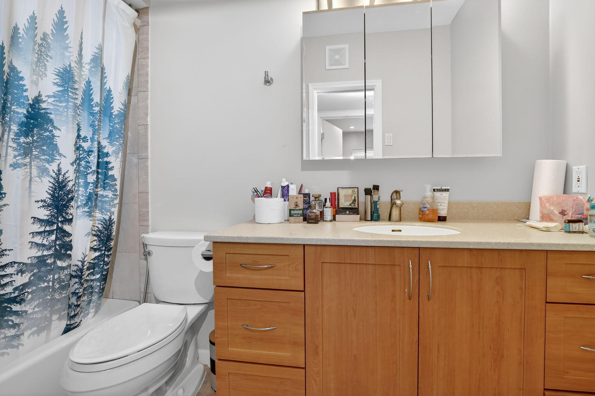 5507 McKinley Street Hollywood, FL 33021 - Photo 33 of 60 a bathroom with a sink a toilet and vanity