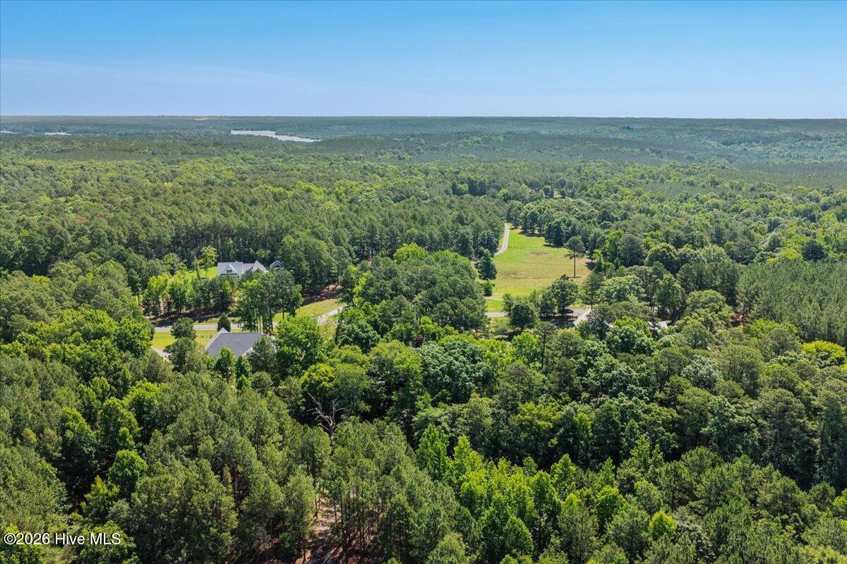290 Old Chevy Road Moncure, NC 27559 - Photo 16 of 117