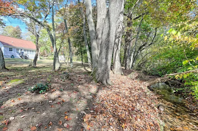 a view of a yard with plants and trees