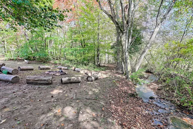 a view of backyard with green space