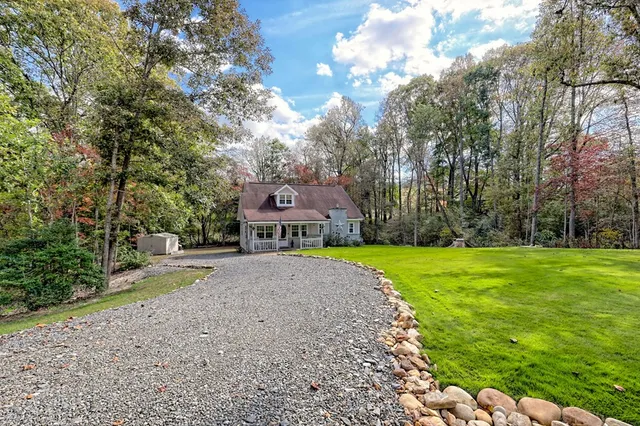 a view of a park with large trees