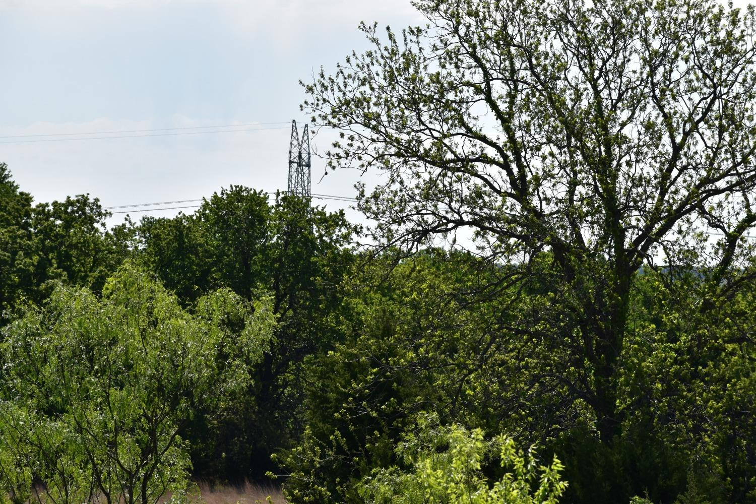 1111 Fletcher Road Weatherford, TX 76087 - Photo 3 of 32 Photo 3
