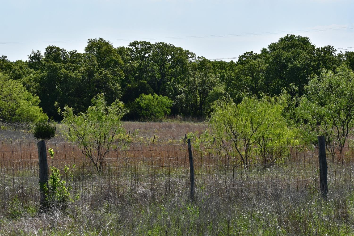 1111 Fletcher Road Weatherford, TX 76087 - Photo 4 of 32 Photo 4