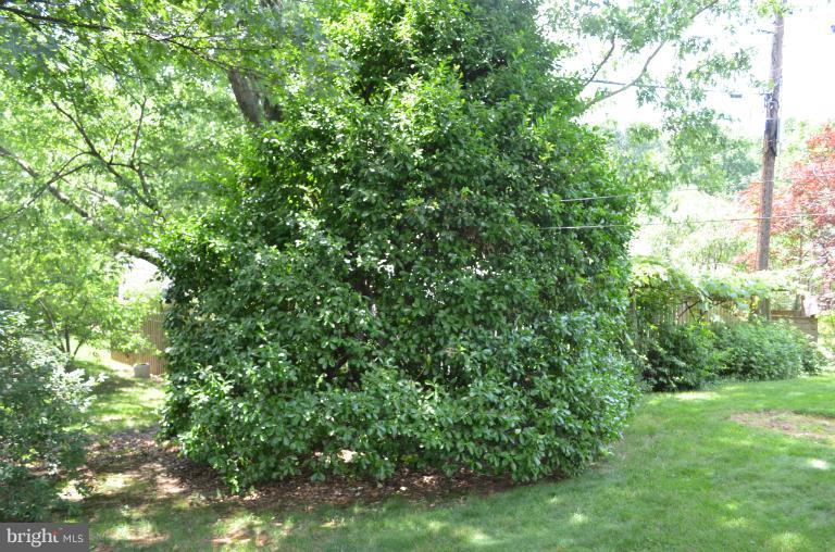 125 Kingbrook Road Linthicum Heights, MD 21090 - Photo 3 of 13 Exterior (Rear)
