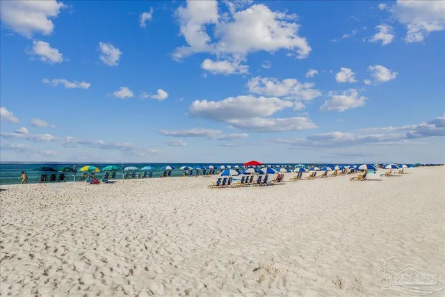a view of ocean and trees