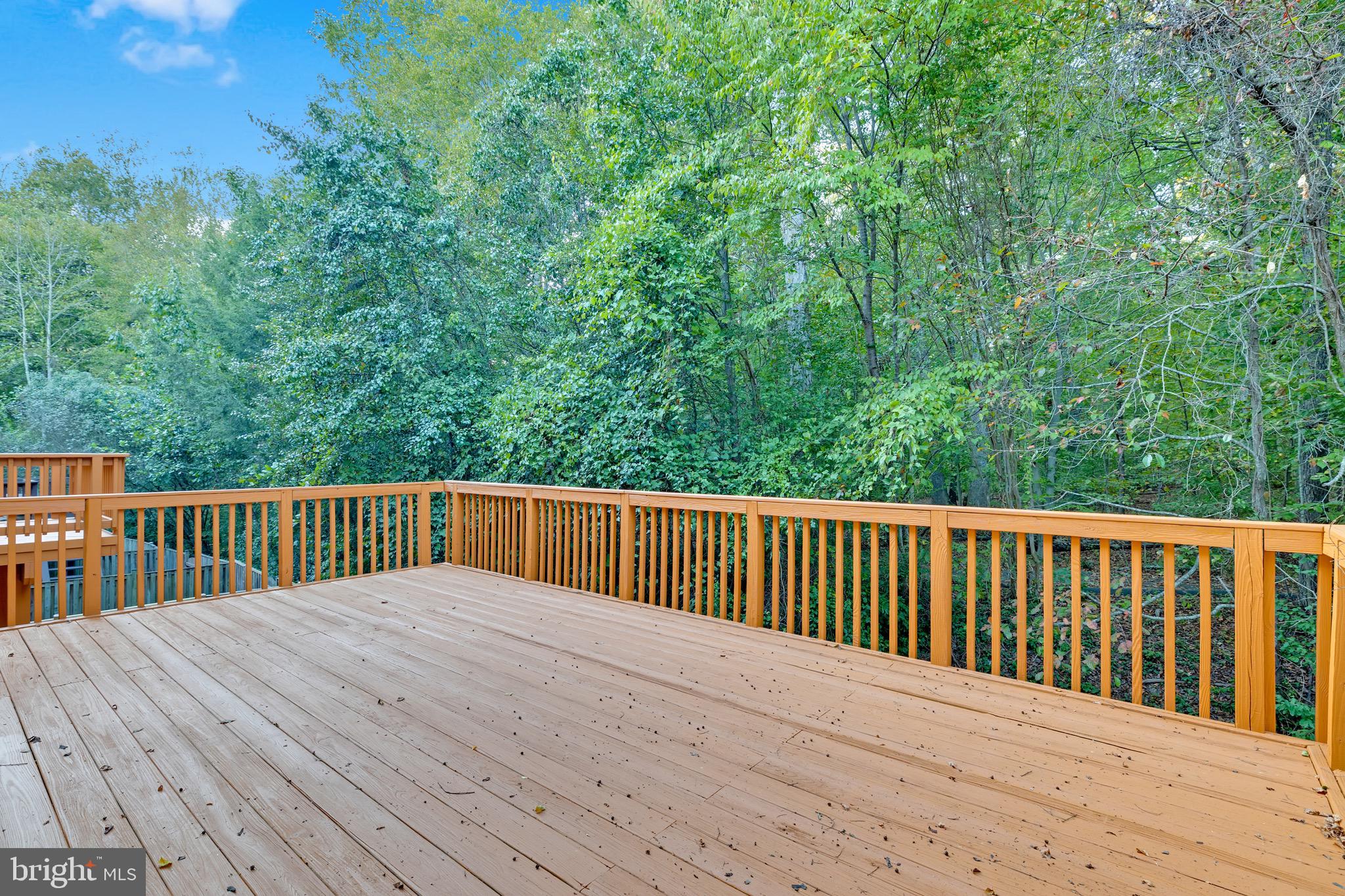 8108 Squirrel Run Road Springfield, VA 22152 - Photo 13 of 34 Gallery Image 13