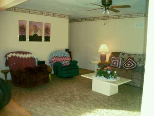 111 Cornetti Road Cabot, PA 16023 - Photo 2 of 8